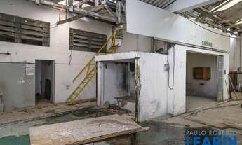 Imagem 4: GALPÃO - HIGIENÓPOLIS - SP