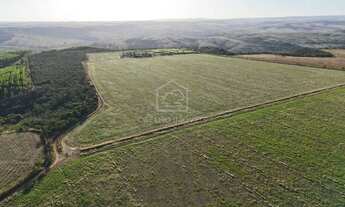 Imagem 4: ALEXANIA -GO FAZENDA COMPLETA 7,5 ALQUEIRES PARA VENDA