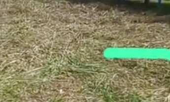 Imagem 2: Vende-se terreno localizado no município de iranduba