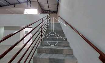 Imagem 7: Comercial GalpãoBarracão em Marília