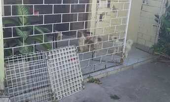 Imagem 3: Rua Escritor Álvaro Lins Afogados -Recife- Pe, CEP - 50820- 630