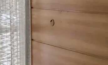 Imagem 6: Apartamento de 3 quartos ótima localização - Centro - São Gonçalo/RJ