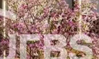 Imagem: Wish 37 - Apartamento 2 quartos, sendo 1