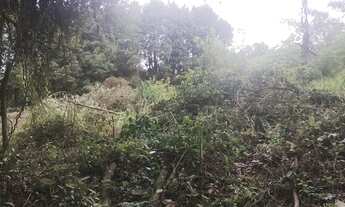 Imagem 3: Vendo terreno bairro Piratuba, ou troco por terreno, casa em Sorocaba