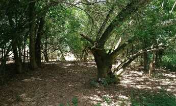 Imagem 3: Sítio em Bonfim - MG asfalto na porta. ESCRITURA - 85 KM DE BH -Rio nos fundos