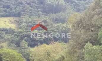 Imagem 4: Lote em Estrada da cruzinha - Cruzinha - São Francisco de Paula/RS