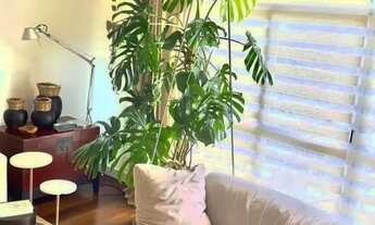 Imagem 5: APARTAMENTO - REAL PARQUE - SP