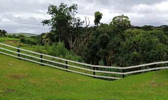 Imagem 3: Arrendamento de pasto pra gado , área localizada no bairro mandassaia , Campina G.do sul