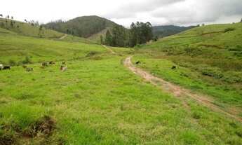 Imagem 6: 50 hectares - ideal para Agricultura, Pecuária. Oportunidade!