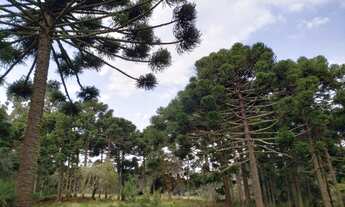 Imagem 3: Sítio 14 hectares em Urupema com Cachoeira