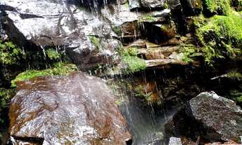 Imagem 7: Sítio 14 hectares em Urupema com Cachoeira