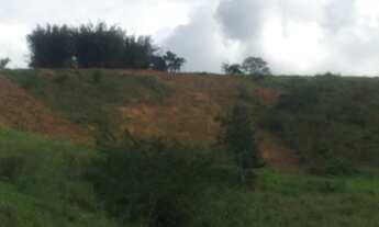 Imagem 6: Sítio de 1 alqueire em Além Paraíba