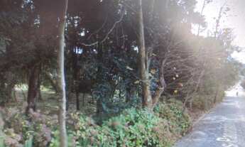 Imagem 2: Terreno no bairro Centro