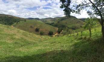 Imagem 4: Sítio de 1 alqueire em Além Paraíba