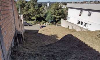 Imagem 2: CAXIAS DO SUL - Terreno Padrão - SALGADO FILHO