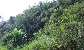 Imagem 3: Terreno para Venda em Pântano do Sul Florianópolis-SC - 190T