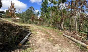 Imagem 4: Casa de condomínio para venda possui 1000 metros quadrados