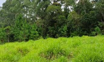 Imagem 7: LOTES BONS BARATOS EM IBIUNA