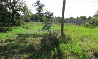 Imagem 5: Terreno em Itacimirim, Camaçari -R$ 1000.000,00- 3.750 m²