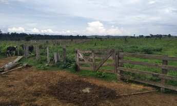 Imagem 7: Fazenda 328 alqueires Região de Ariquemes