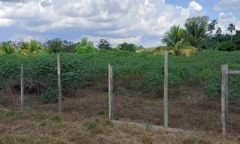 Imagem 7: Chácara Chácara com aluguel por R$80.000 /mês