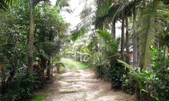 Imagem 6: GARUVA - Chácara - CENTRO