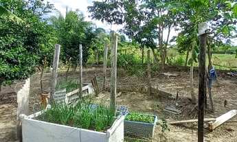 Imagem 4: Chácara Chácara com aluguel por R$80.000 /mês