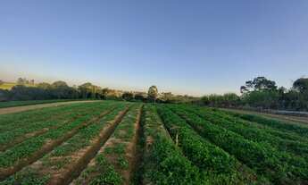Imagem 3: Terrenos Planos e Limpos Para Sua Casa de Campo em Ibiúna - SP