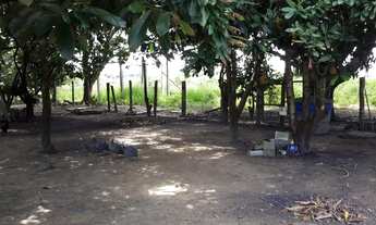 Imagem 6: SITIO COM 11 ALQUEIRES