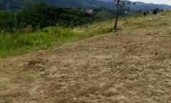 Imagem 5: TK Venha viver com tranquilidade!Lotes belíssimos