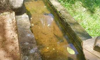Imagem 4: Ótima fazenda em Goiás 256 Alqueires..