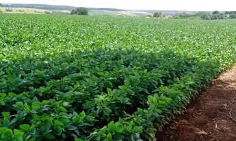 Imagem 6: Angatuba - RURAL - Zonal Rural