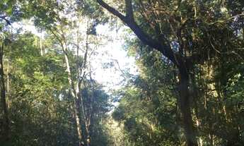 Imagem 3: Vendo Terreno 6 alqueires em Guarapari