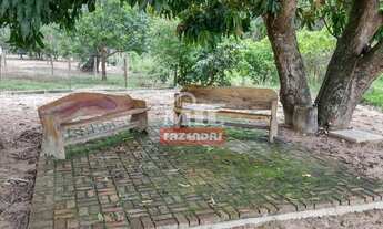 Imagem 4: Chácara 10 alqueires ( 48.4 hectares ) Vianópolis-GO