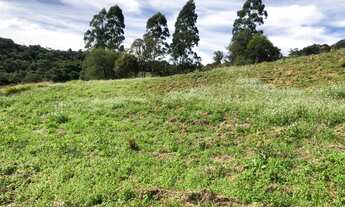 Imagem: VENHA SURPRIENDA A SUA FAMILIA