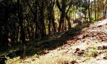 Imagem 2: Terreno à venda, 681 m² por R$ 150.000 - Pinhal Alto - Nova Petrópolis/RS