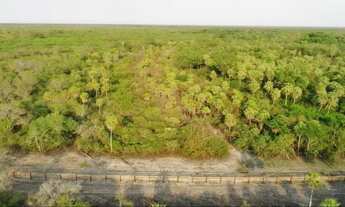 Imagem 7: Fazenda 500ha no Paraguai