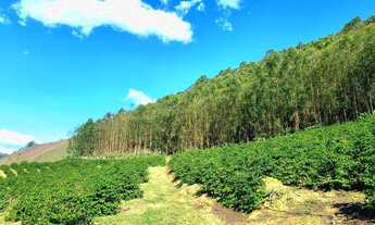 Imagem 3: Sítio em Domingos Martins com 3 Lagos