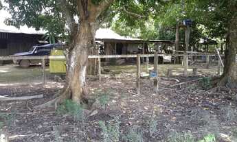 Imagem 5: SITIO COM 11 ALQUEIRES