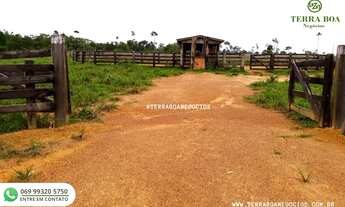 Imagem 5: FAZENDA 197 ALQUEIRES 150 ALQUEIRES EM CAPIM