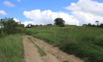 Imagem 2: Seu novo lar em Cotia, área rural!