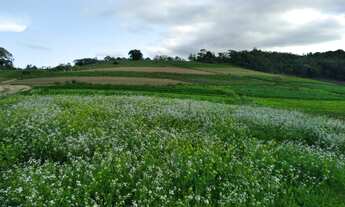 Imagem 5: O/26* Corra !! terrenos com Parcelas baixíssimas