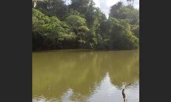 Imagem 7: FAZENDINHAS pertinho do Rio Pará