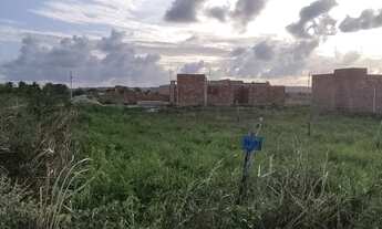 Imagem 3: Terreno à venda, 450 m² por R$ 100.000,00 - Loteamento Trevo do Frances - Marechal Deodoro