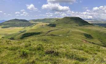 Imagem 5: TERRENO CAMPO DOS PADRES - ÁREA 51