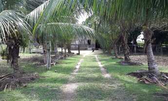 Imagem: SITIO COM 11 ALQUEIRES