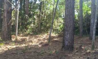 Imagem 4: Terreno para venda ZR 2 permutas