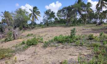 Imagem 2: Terreno 3 tarefas