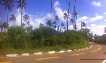 Imagem 3: Área, Monte Gordo (Monte Gordo), Camaçari - R$ 4.1 mi, Cod: 68448