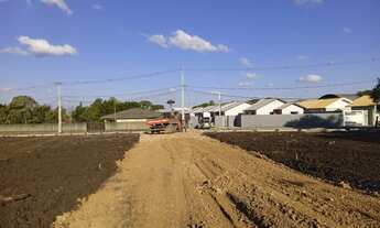 Imagem 2: Excelente Localização Terrenos Planos Próx Sup Rio Verde/Atuba/Ribeira